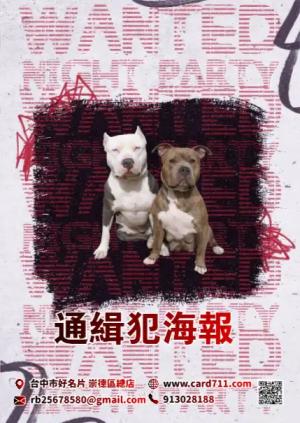 通緝犯海報 - 線上 線上海報製作 製作範本