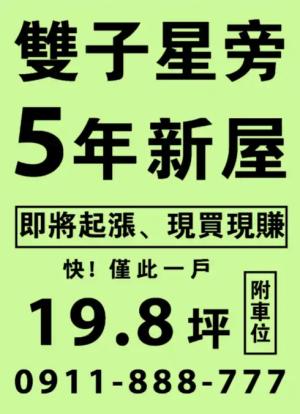 雙子粉綠色海報 - 線上色彩製作範本