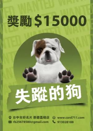 失蹤的狗海報 - 線上 海報 印刷 製作範本