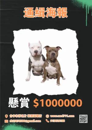 通緝海報 - 線上 海報 印刷 製作範本