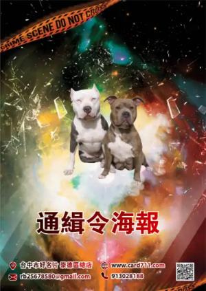 通緝令海報 - 線上 海報 印刷 製作範本