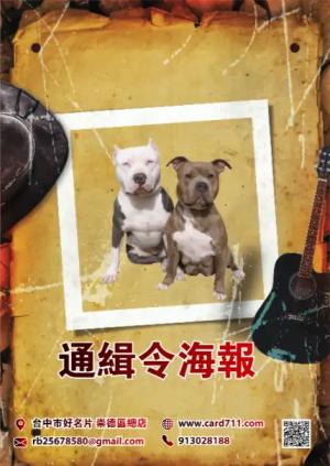 通緝令海報 - 線上 海報 印刷 製作範本