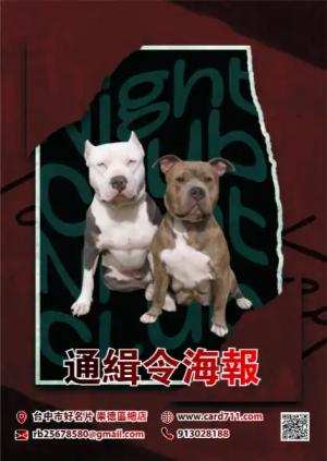 通緝海報 - 線上 海報 印刷 製作範本